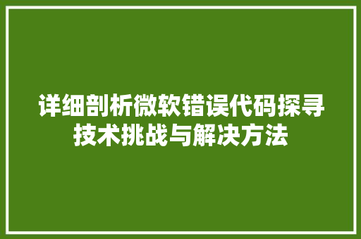 详细剖析微软错误代码探寻技术挑战与解决方法 SEO关键词
