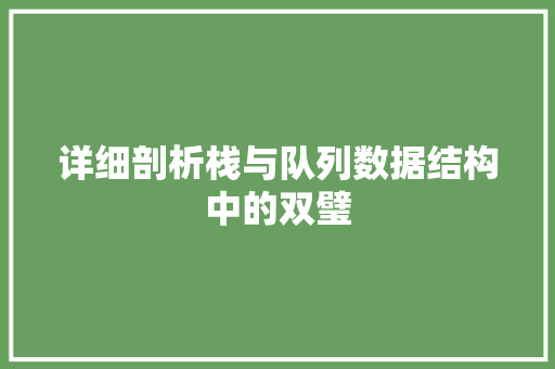 详细剖析栈与队列数据结构中的双璧