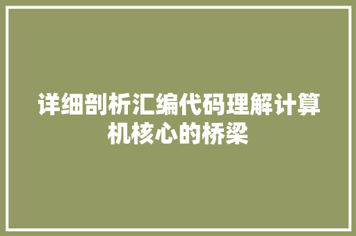 详细剖析汇编代码理解计算机核心的桥梁 SEO关键词