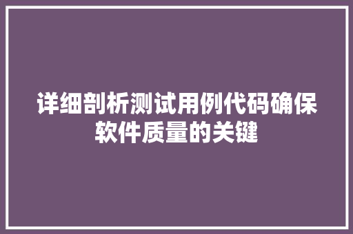 详细剖析测试用例代码确保软件质量的关键 网站建设公司