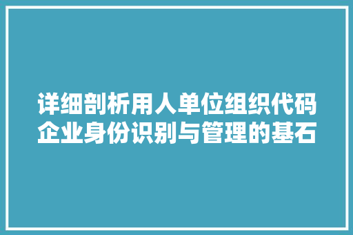 详细剖析用人单位组织代码企业身份识别与管理的基石
