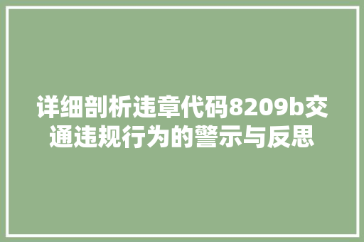 详细剖析违章代码8209b交通违规行为的警示与反思 网站建设公司