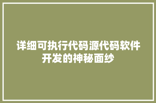 详细可执行代码源代码软件开发的神秘面纱