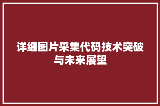 详细图片采集代码技术突破与未来展望