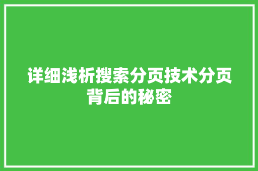 详细浅析搜索分页技术分页背后的秘密 SEO关键词