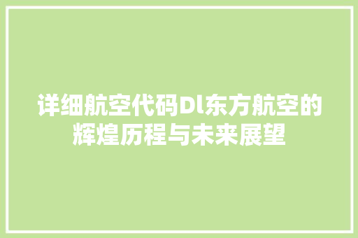 详细航空代码Dl东方航空的辉煌历程与未来展望 神马SEO