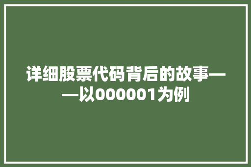 详细股票代码背后的故事——以000001为例