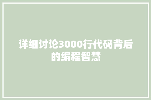 详细讨论3000行代码背后的编程智慧