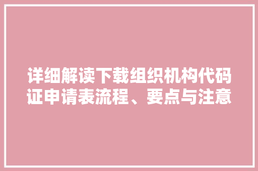 详细解读下载组织机构代码证申请表流程、要点与注意事项 网站建设公司