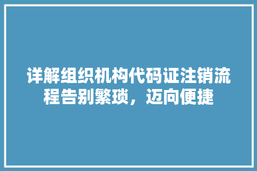 详解组织机构代码证注销流程告别繁琐，迈向便捷 必应SEO