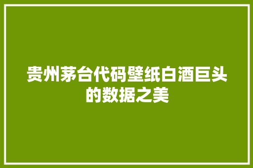 贵州茅台代码壁纸白酒巨头的数据之美 必应SEO
