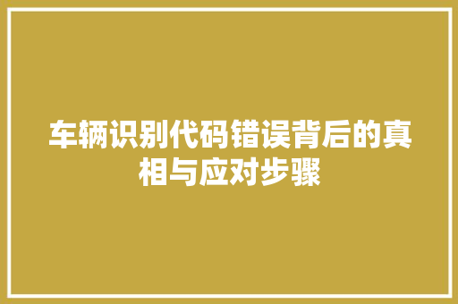 车辆识别代码错误背后的真相与应对步骤