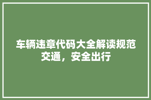 车辆违章代码大全解读规范交通，安全出行 必应SEO