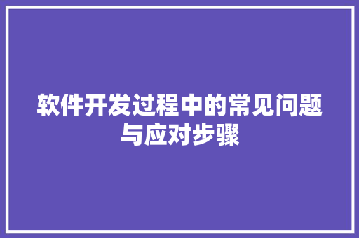软件开发过程中的常见问题与应对步骤 百度SEO