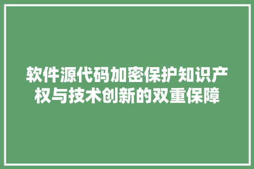软件源代码加密保护知识产权与技术创新的双重保障 神马SEO