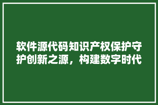 软件源代码知识产权保护守护创新之源，构建数字时代法治基石 神马SEO
