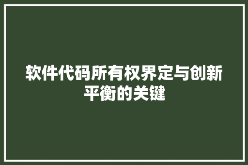 软件代码所有权界定与创新平衡的关键 百度SEO