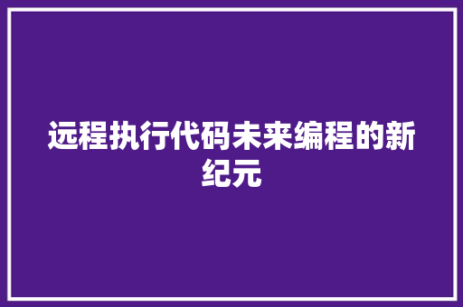 远程执行代码未来编程的新纪元 百度SEO