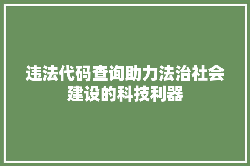 违法代码查询助力法治社会建设的科技利器 神马SEO