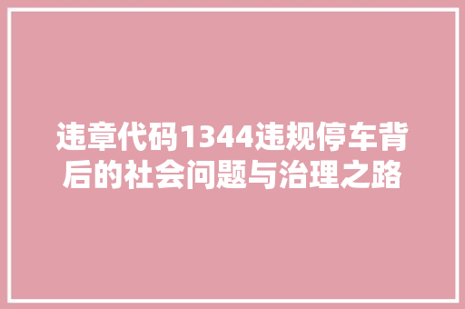 违章代码1344违规停车背后的社会问题与治理之路 SEO关键词