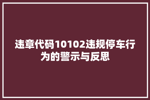 违章代码10102违规停车行为的警示与反思 必应SEO