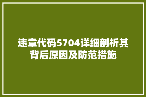 违章代码5704详细剖析其背后原因及防范措施 网站建设公司