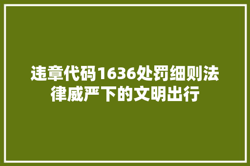 违章代码1636处罚细则法律威严下的文明出行 网站建设公司