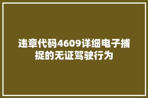 违章代码4609详细电子捕捉的无证驾驶行为 网站建设公司