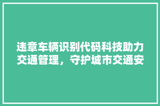 违章车辆识别代码科技助力交通管理，守护城市交通安全 SEO关键词