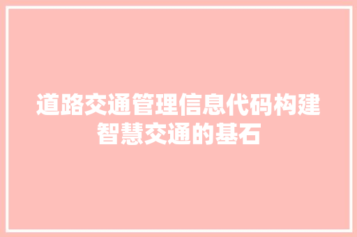 道路交通管理信息代码构建智慧交通的基石 网站建设公司