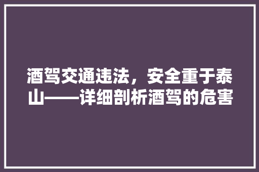 酒驾交通违法，安全重于泰山——详细剖析酒驾的危害与防范措施 百度SEO