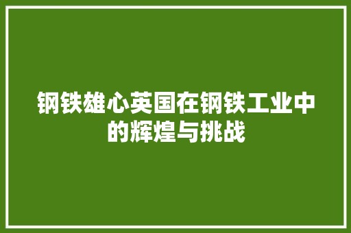 钢铁雄心英国在钢铁工业中的辉煌与挑战 必应SEO