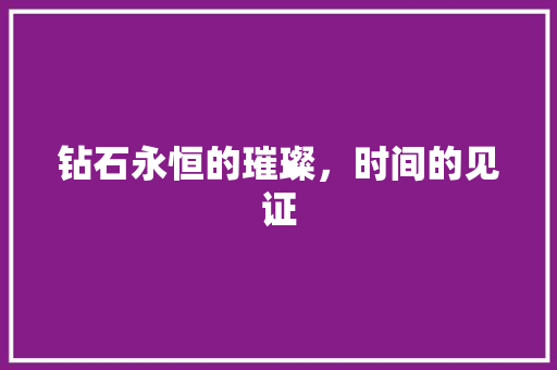 钻石永恒的璀璨，时间的见证 SEO关键词