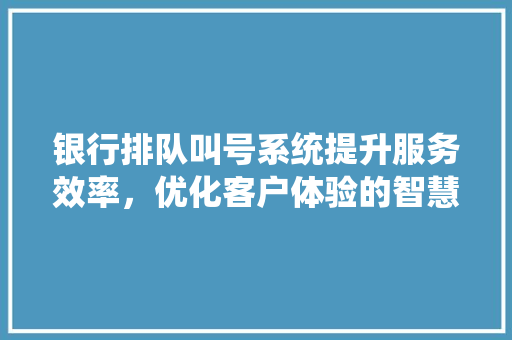 银行排队叫号系统提升服务效率，优化客户体验的智慧之选 SEO关键词