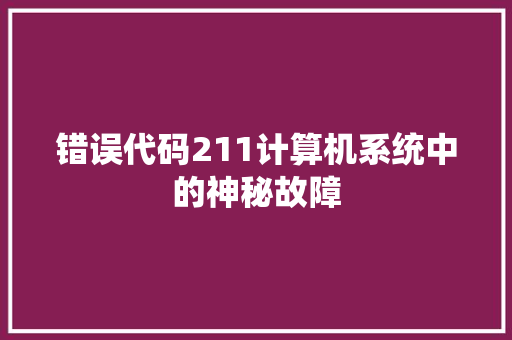错误代码211计算机系统中的神秘故障 网站建设公司