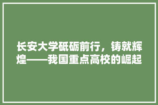 长安大学砥砺前行，铸就辉煌——我国重点高校的崛起之路 SEO关键词