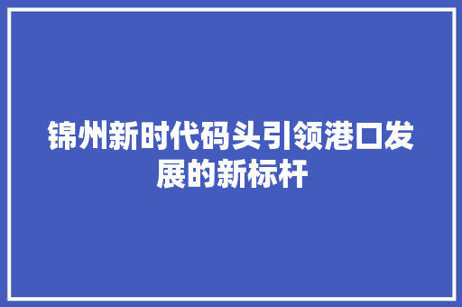 锦州新时代码头引领港口发展的新标杆 网站建设公司