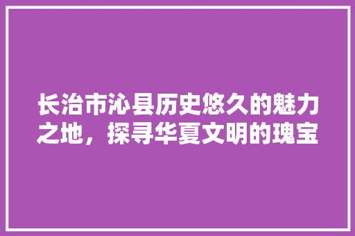 长治市沁县历史悠久的魅力之地，探寻华夏文明的瑰宝