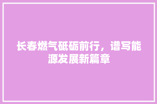 长春燃气砥砺前行，谱写能源发展新篇章