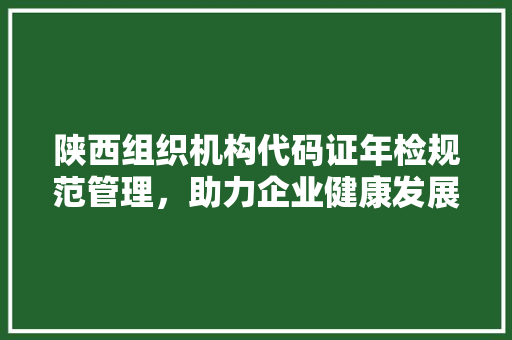 陕西组织机构代码证年检规范管理，助力企业健康发展 网站建设公司