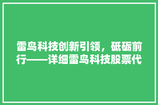 雷鸟科技创新引领，砥砺前行——详细雷鸟科技股票代码背后的故事 网站建设公司