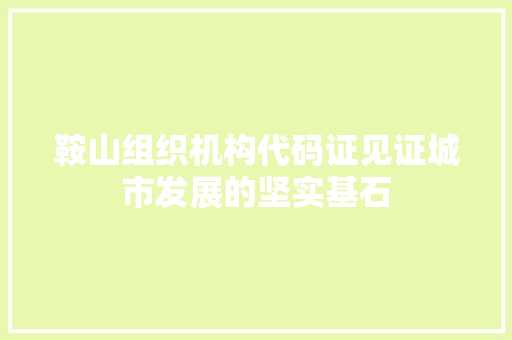 鞍山组织机构代码证见证城市发展的坚实基石 网站建设公司