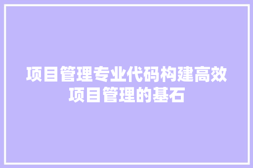 项目管理专业代码构建高效项目管理的基石