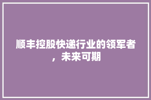顺丰控股快递行业的领军者，未来可期 神马SEO