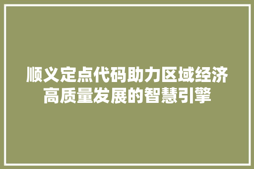 顺义定点代码助力区域经济高质量发展的智慧引擎 必应SEO