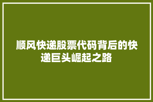 顺风快递股票代码背后的快递巨头崛起之路 SEO关键词