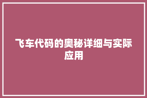 飞车代码的奥秘详细与实际应用 网站建设公司