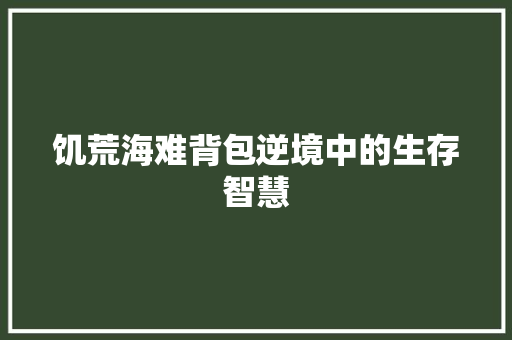 饥荒海难背包逆境中的生存智慧 百度SEO