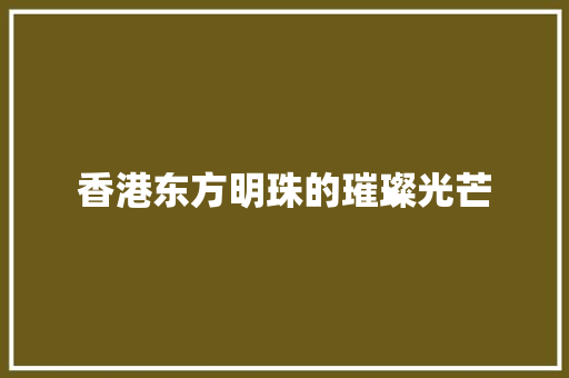 香港东方明珠的璀璨光芒