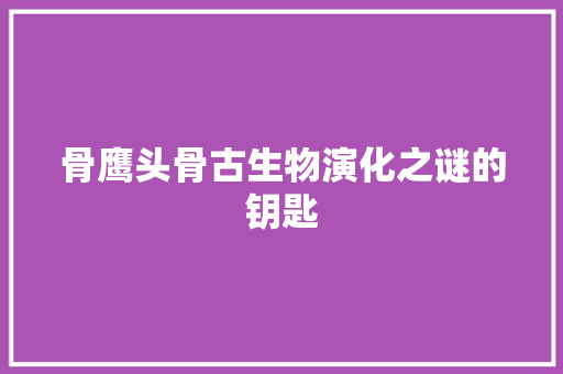 骨鹰头骨古生物演化之谜的钥匙